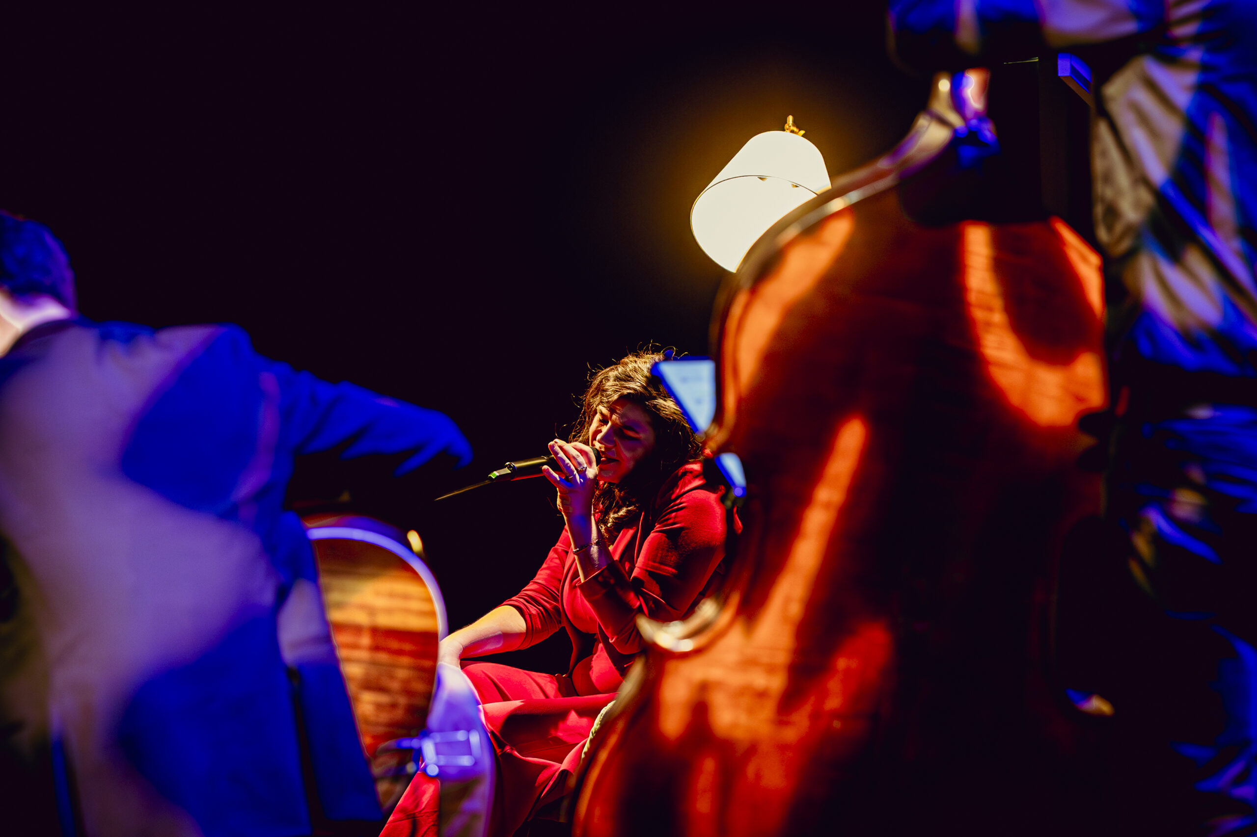 Delise – Verborgen Verhalen – Theatertour